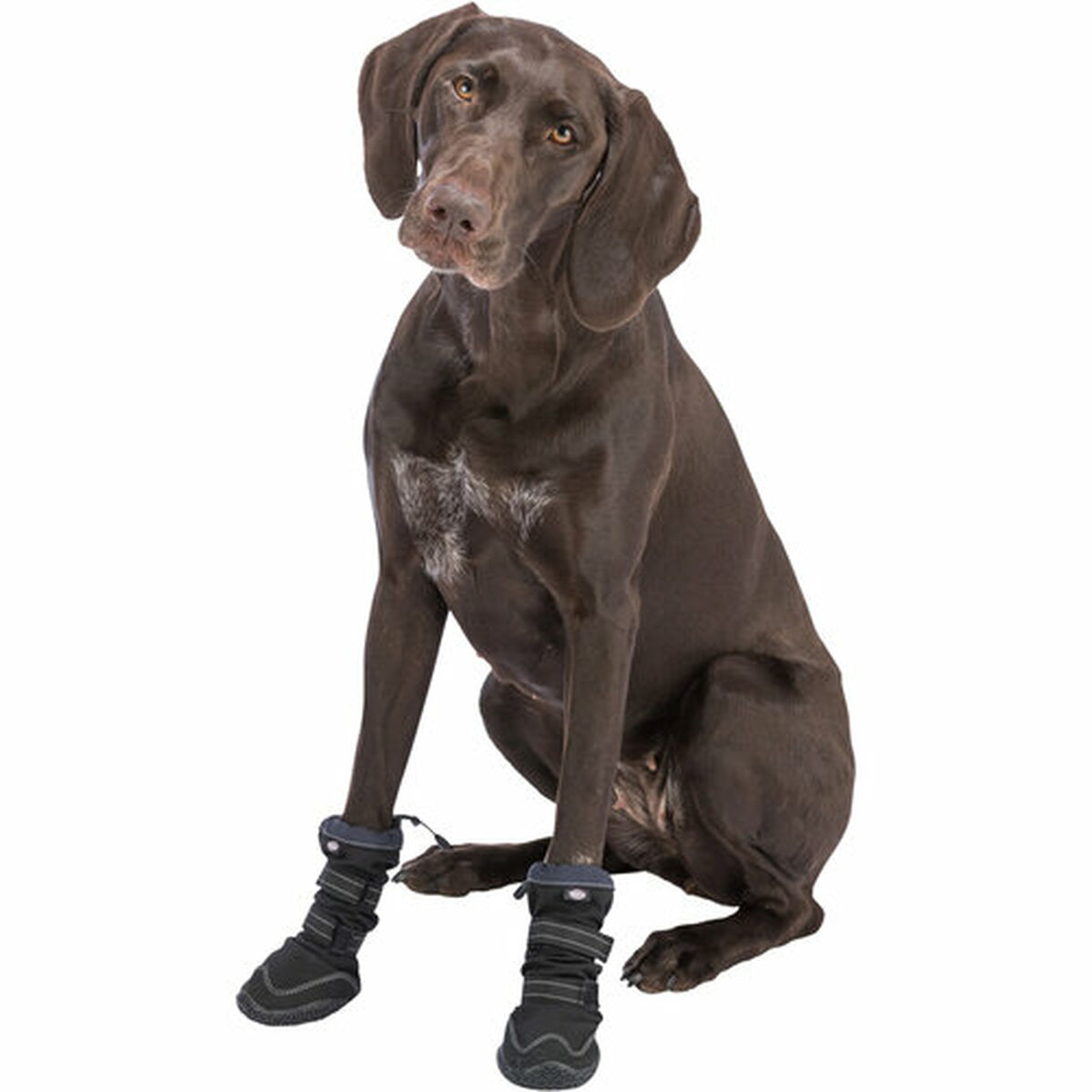 Leg protection walker Trixie Black L/XL